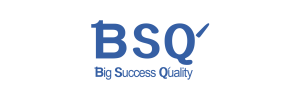 Logo_889x295px BSQ